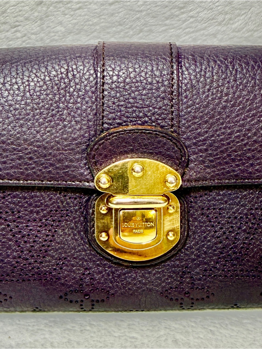 Louis Vuitton Marina Iris Long Wallet Grained Leather with Gold-Tone Lock